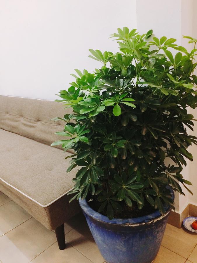 Condodo Hostel Ho Chi Minh-Byen Eksteriør billede