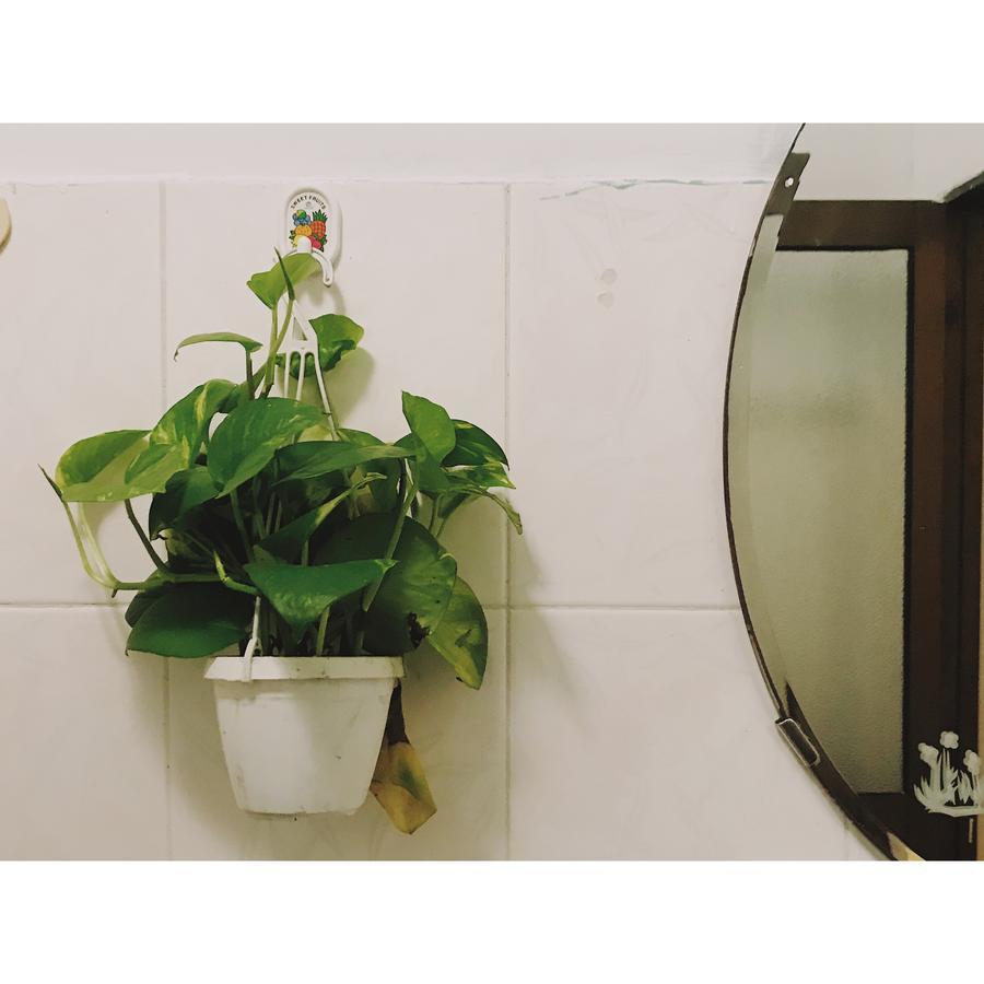 Condodo Hostel Ho Chi Minh-Byen Eksteriør billede