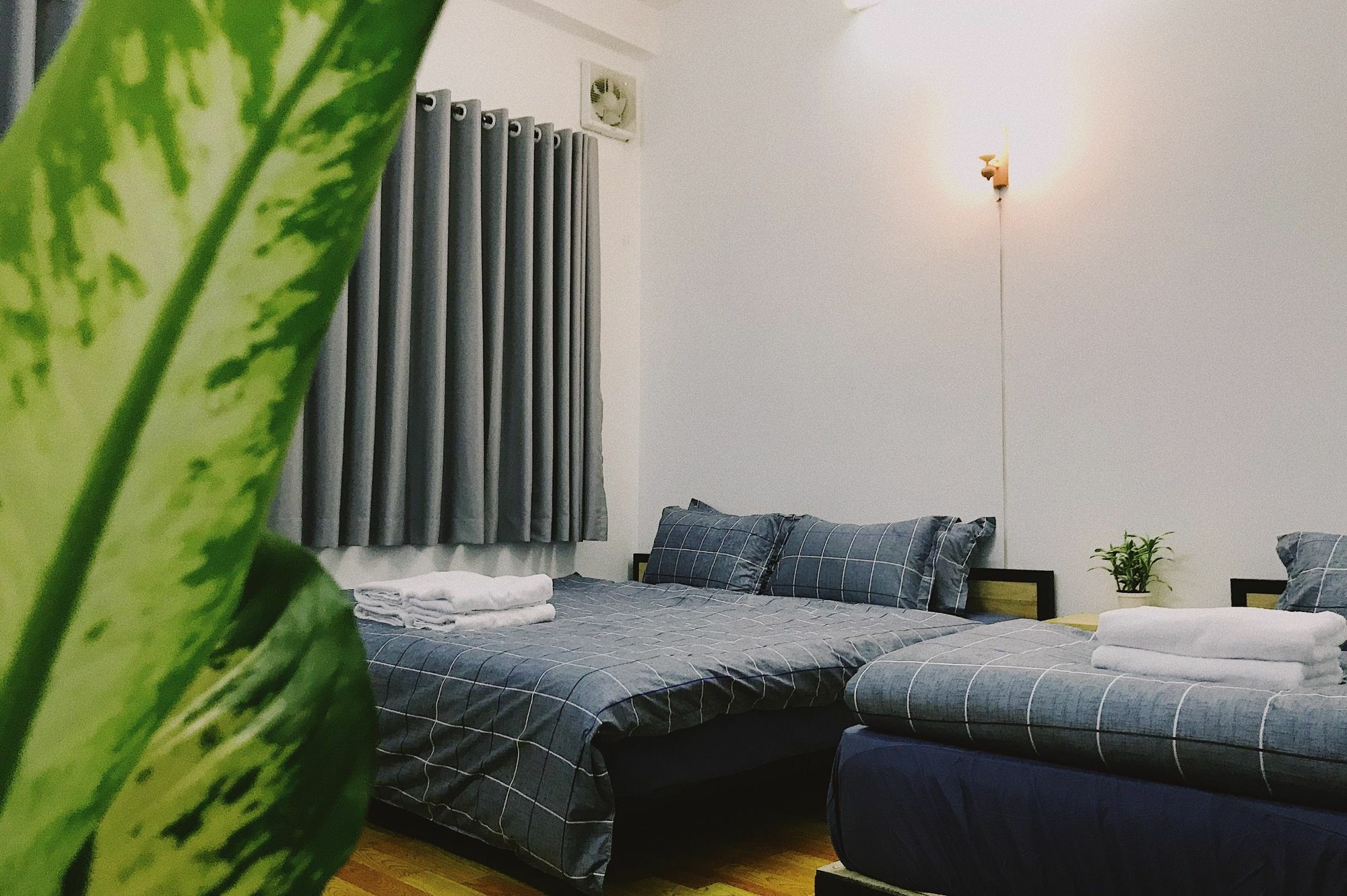 Condodo Hostel Ho Chi Minh-Byen Eksteriør billede